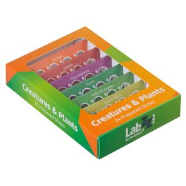 Набор микропрепаратов Levenhuk LabZZ CP24, существа и растения, фото 