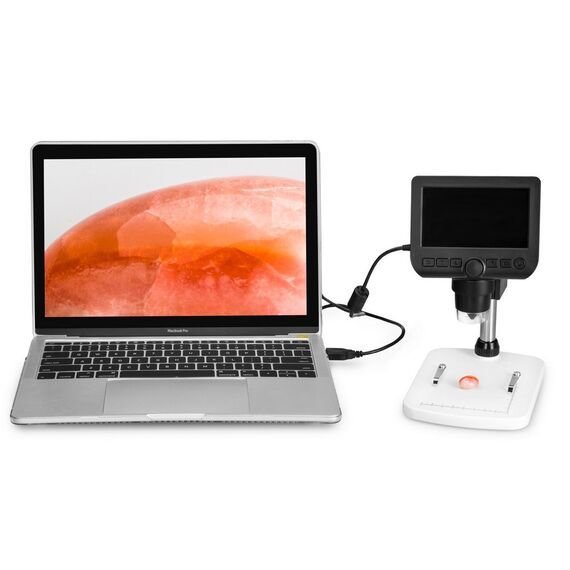 Микроскоп цифровой Levenhuk DTX 350 LCD, фото , изображение 13