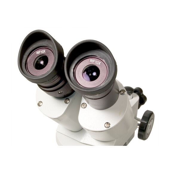 Микроскоп Levenhuk 3ST, бинокулярный, фото , изображение 3