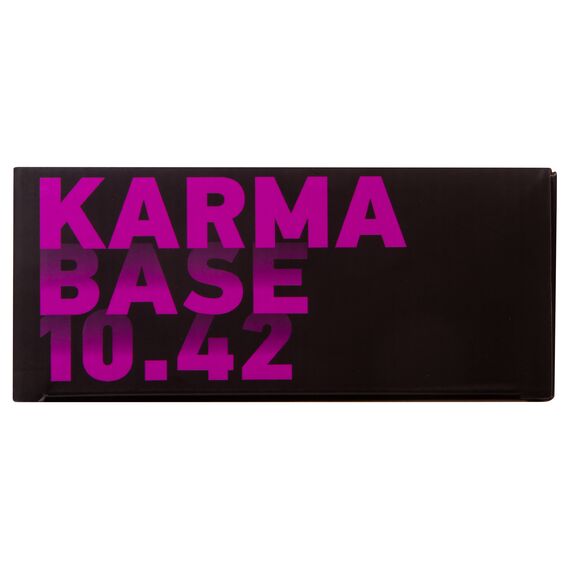 Бинокль Levenhuk Karma BASE 10x42, фото , изображение 16