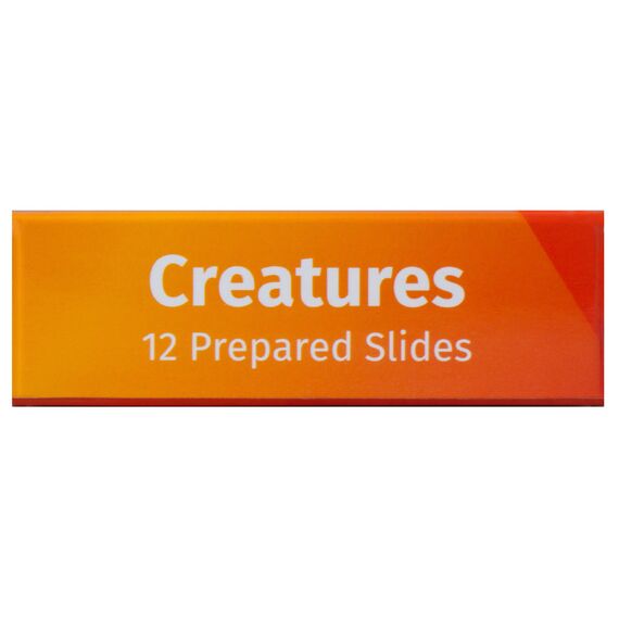 Набор микропрепаратов Levenhuk LabZZ C12, существа, фото , изображение 7