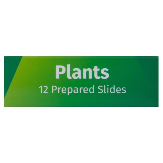 Набор микропрепаратов Levenhuk LabZZ P12, растения, фото , изображение 8