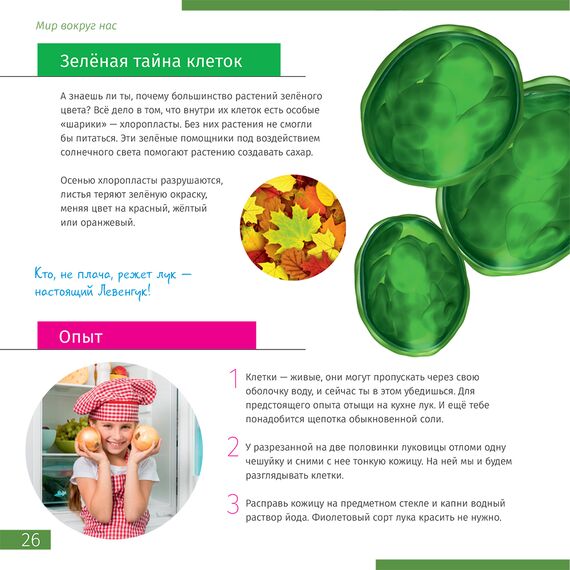 Книга знаний в 2 томах. «Космос. Микромир», фото , изображение 7