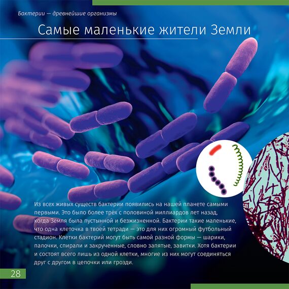 Книга знаний в 2 томах. «Космос. Микромир», фото , изображение 8
