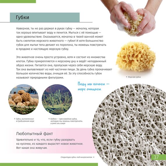 Книга знаний «Невидимый мир», фото , изображение 9