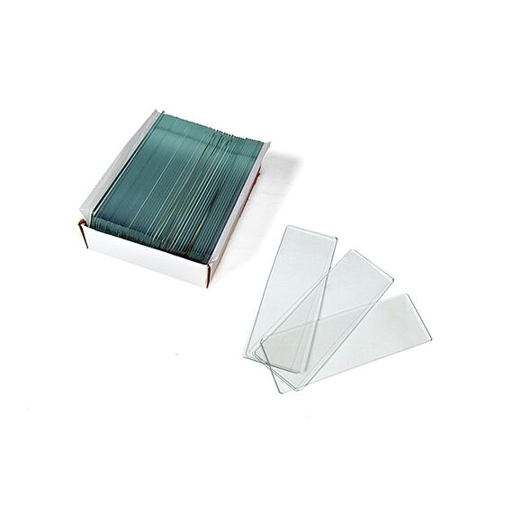 Стекла предметные Levenhuk G50, 50 шт., фото , изображение 2