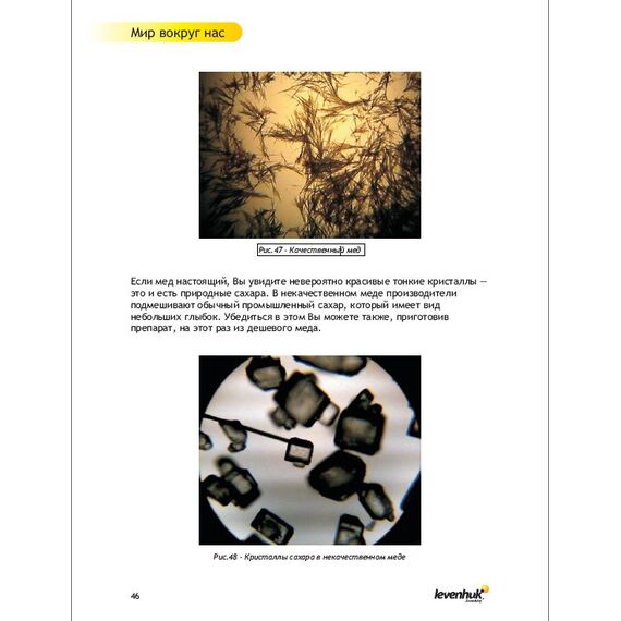 Набор для опытов с микроскопом Levenhuk K50, фото , изображение 12