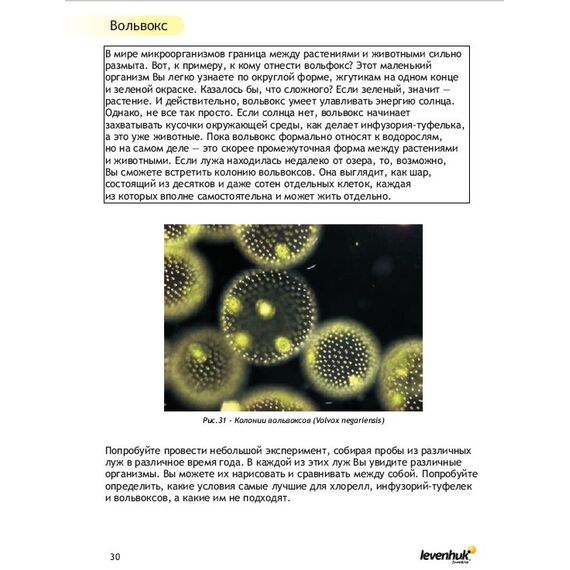 Набор для опытов с микроскопом Levenhuk K50, фото , изображение 16