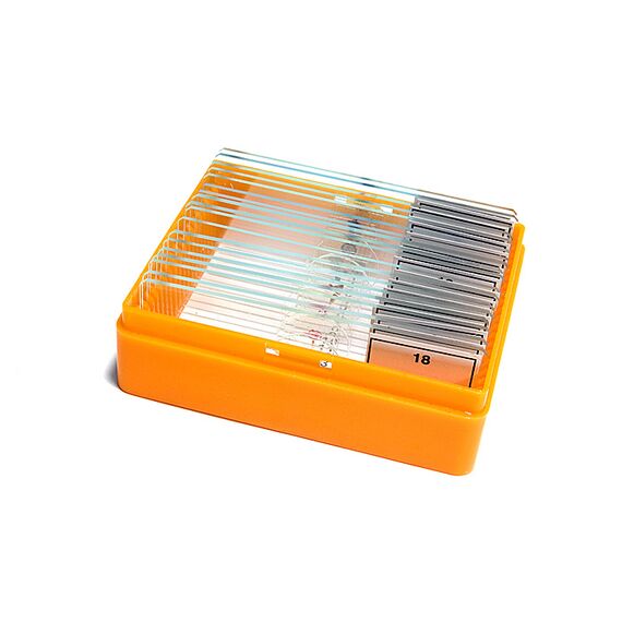 Набор готовых микропрепаратов Levenhuk N18 NG, фото , изображение 11