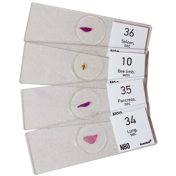 Набор микропрепаратов Levenhuk N80 NG «Увидеть все!», фото , изображение 5