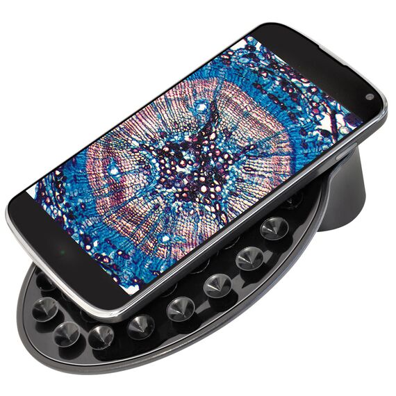 Микроскоп Bresser Junior Biolux SEL 40–1600x, красный, фото , изображение 6