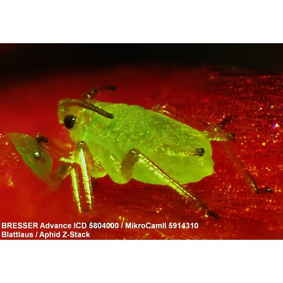 Микроскоп Bresser Advance ICD 10x–160x, фото , изображение 7