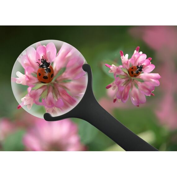 Лупа Levenhuk Zeno 60, 2,5/5x, 88/21 мм, 2 LED, фото , изображение 8